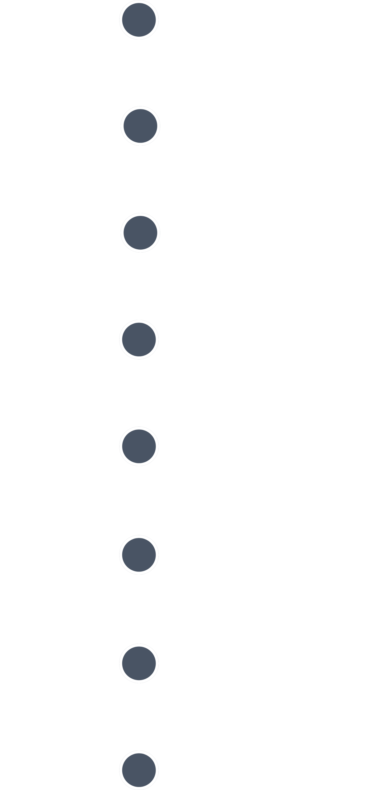 EXPIRIENCE Timeline Vertical Timeline Vertical